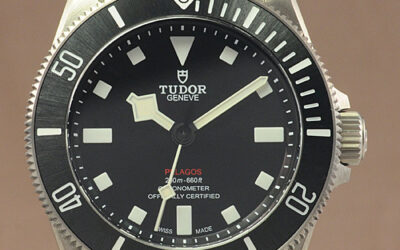 Tudor Pelagos 39 25407N