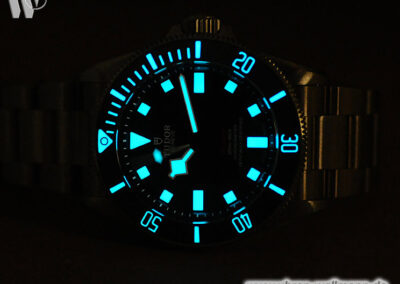 Tudor Pelagos 39 25407N
