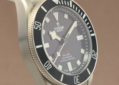 Tudor Pelagos 39 25407N