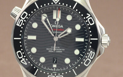Omega Seamaster 21032422001001