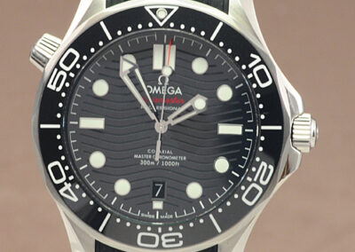 Omega Seamaster 21032422001001