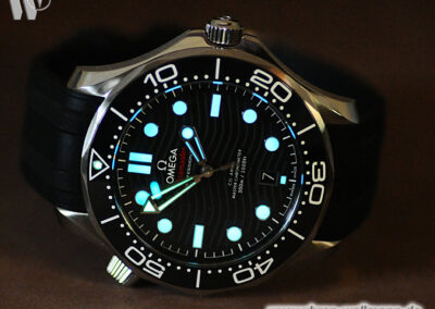 Omega Seamaster 21032422001001