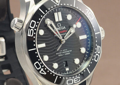 Omega Seamaster 21032422001001