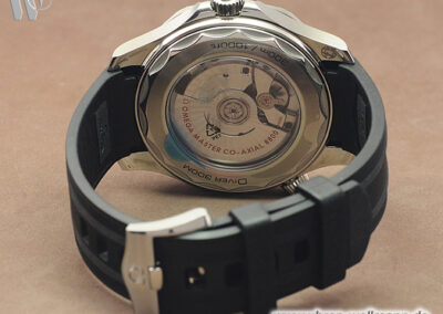 Omega Seamaster 21032422001001