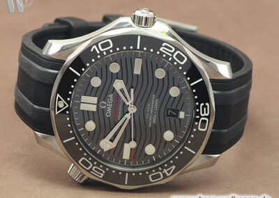 Omega Seamaster 21032422001001
